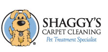 Shaggy's Carpet Cleaning Phoenix
