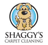 carpet cleaning vancouver